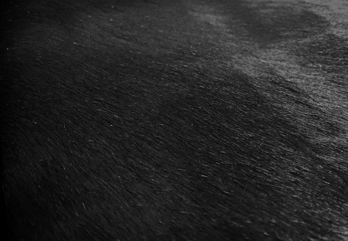 Natural Black Brindled Cowhide Rug