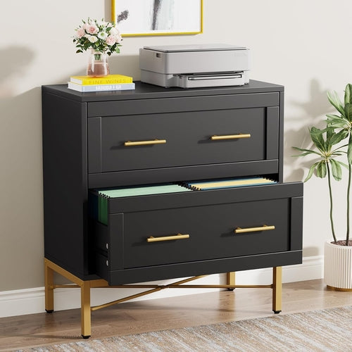 Noir Luxe Gold-Frame Lateral Filing Console