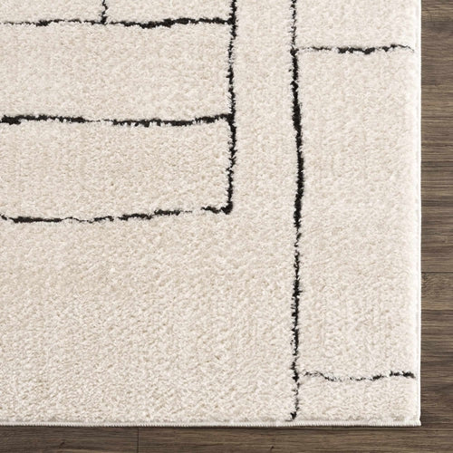 Black and White Geometric Striped Area Rug