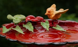 Scarlet Bloom Metal Birdbath
