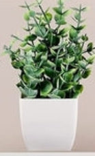 Evergreen Quartet Mini Botanical Set