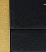 Everyday Cream Wood Block Calendar