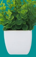 Evergreen Miniature Botanical Set – Artificial Potted Plants (Set of 6)