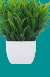 Evergreen Miniature Botanical Set – Artificial Potted Plants (Set of 6)