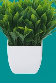 Evergreen Miniature Botanical Set – Artificial Potted Plants (Set of 6)