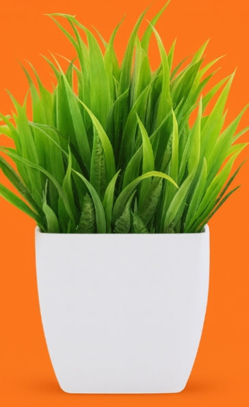 Verdant Duo Petite Botanical Set – Artificial Potted Plants (Set of 2), Multi-Colour