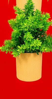 Verdant Modern Cylinder Faux Botanical – Artificial Potted Plant (Brown Cylinder Pot)