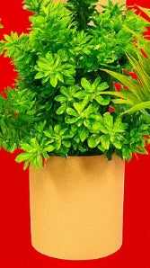 Verdant Modern Cylinder Faux Botanical – Artificial Potted Plant (Brown Cylinder Pot)