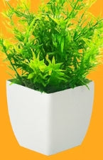 Luxe Evergreen Miniature Botanical Set – Artificial Potted Plants (Set of 10)