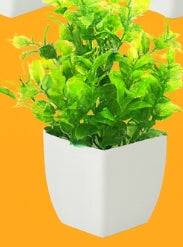 Luxe Evergreen Miniature Botanical Set – Artificial Potted Plants (Set of 10)