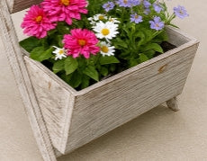 Clairborne Whitewash Tiered Plant Stand