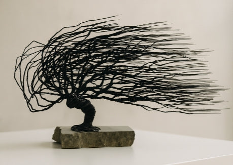 Windswept Bonsai Wire Tree Sculpture