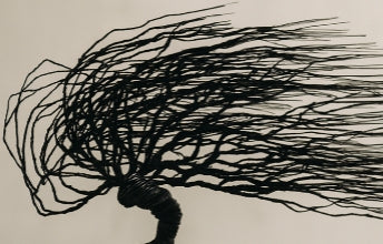 Windswept Bonsai Wire Tree Sculpture