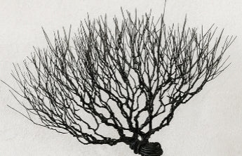 Natural Style Bonsai Wire Tree Sculpture