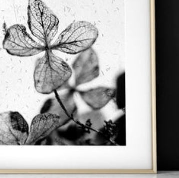 Greyscale Botanical Wall Art Print Set