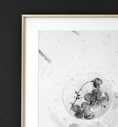 Greyscale Botanical Wall Art Print Set