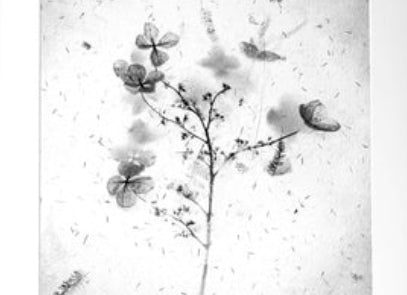 Greyscale Botanical Wall Art Print Set