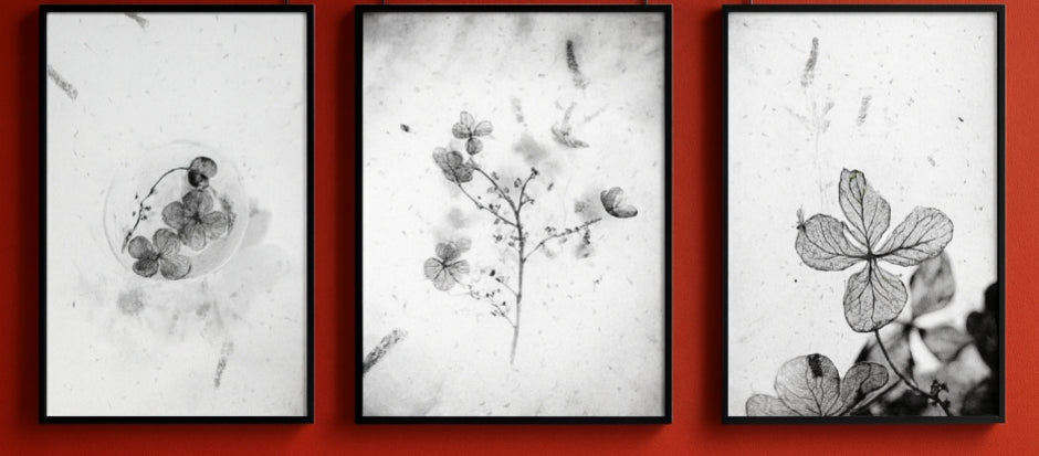 Greyscale Botanical Wall Art Print Set