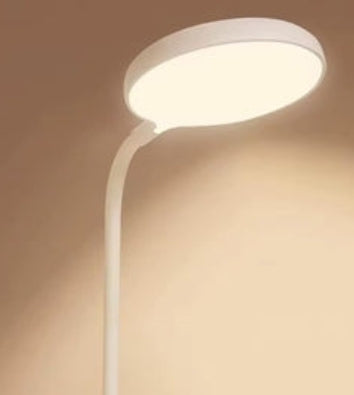 LED Desk Lamp with Integrated Organizer and Adjustable Lighting