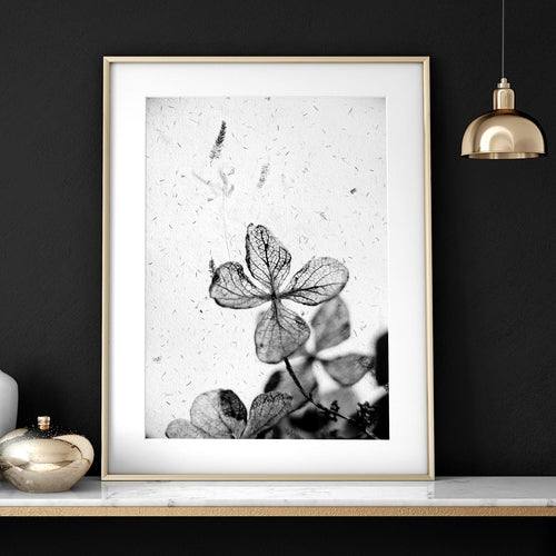 Greyscale Botanical Wall Art Print Set