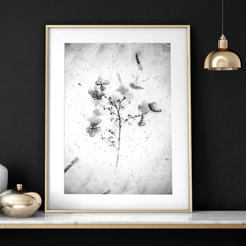 Greyscale Botanical Wall Art Print Set