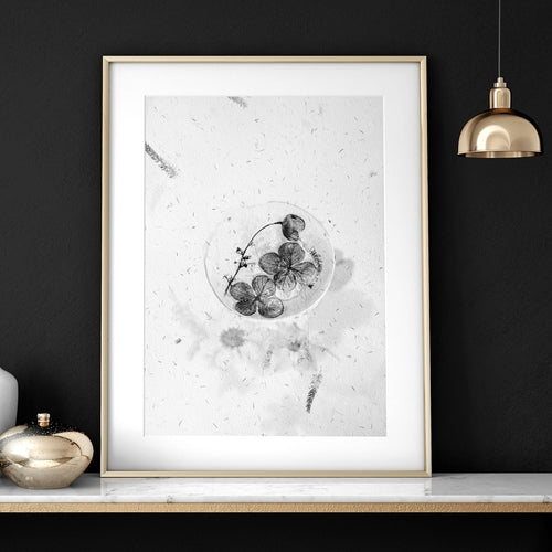 Greyscale Botanical Wall Art Print Set