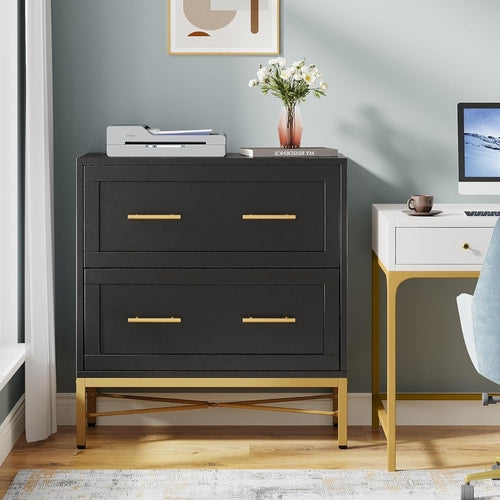 Noir Luxe Gold-Frame Lateral Filing Console
