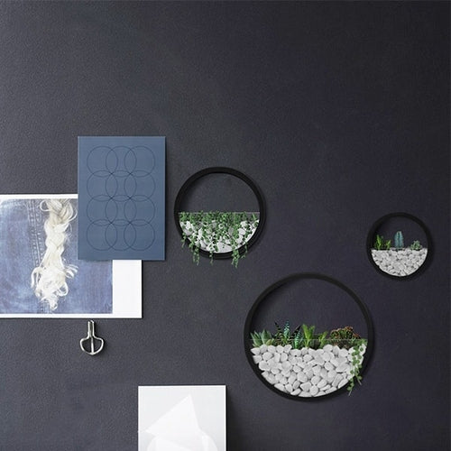 Halo Ring Wall Planter Collection