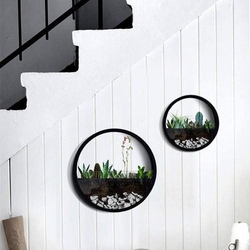 Halo Ring Wall Planter Collection