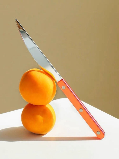 10-Piece French Bistro Cutlery Set – Colorful Dopamine Décor Flatware with Retro Handles